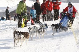 Lenk 2012 SM